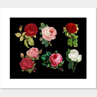 Rose Design Flowers Posters and Art